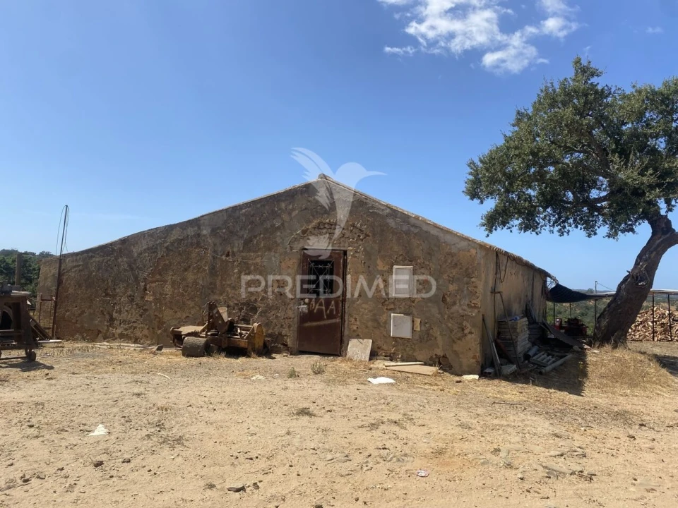 Quinta T3 para Venda em Abela Foto 31