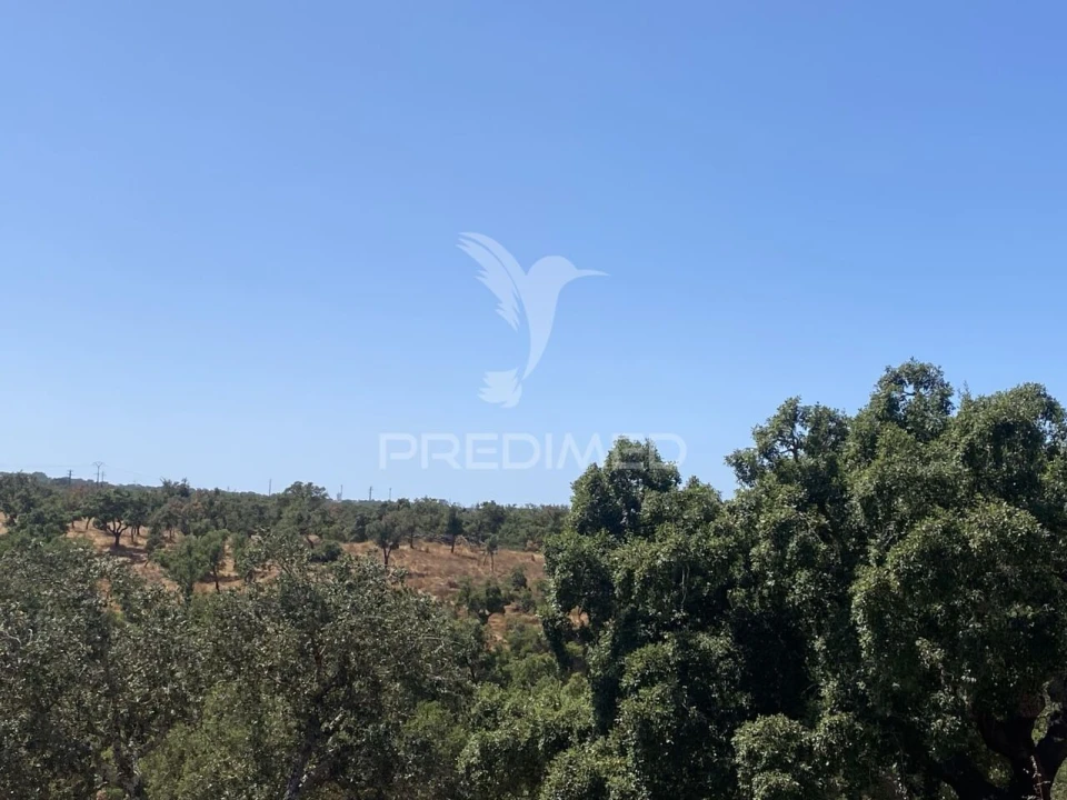 Quinta T3 para Venda em Abela Foto 17