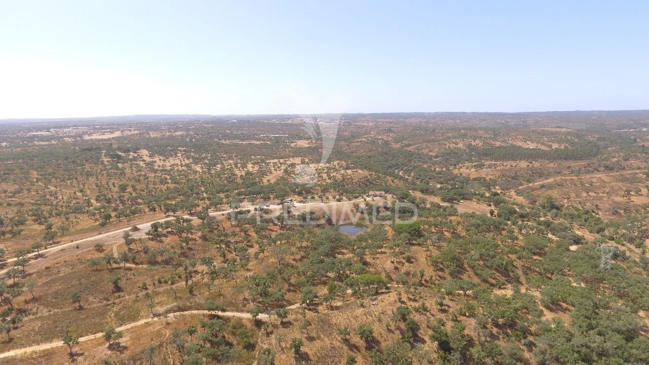 Quinta T3 para Venda em Abela Foto 1