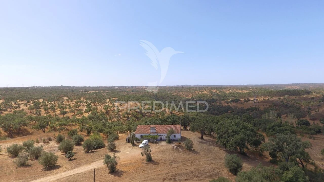 Quinta T3 para Venda em Abela Foto 6