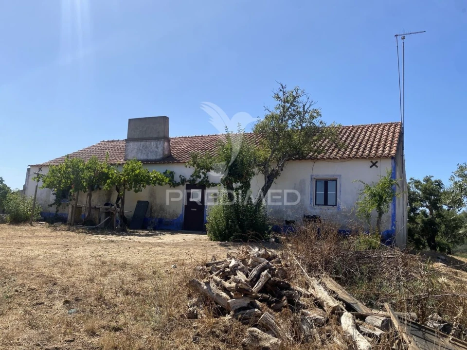 Quinta T3 para Venda em Abela Foto 4