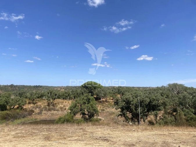 Quinta T3 para Venda em Abela Foto 32