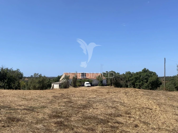 Quinta T3 para Venda em Abela Foto 34