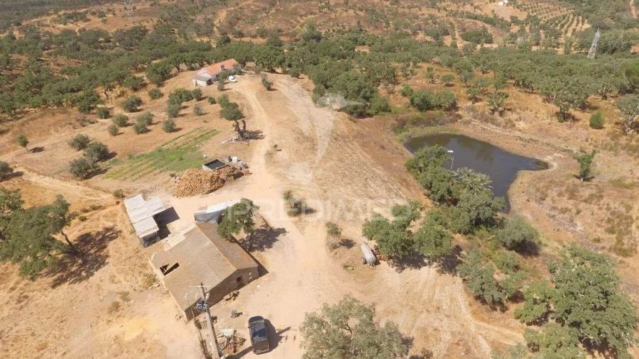 Quinta T3 para Venda em Abela Foto 40