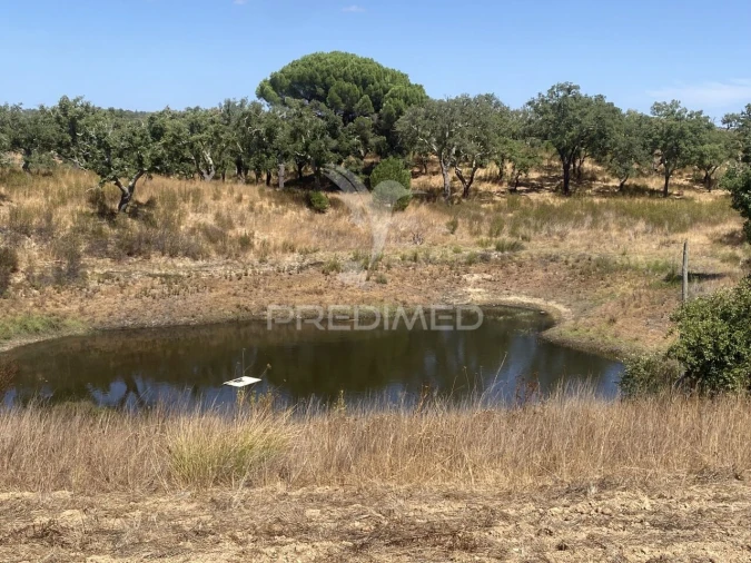 Quinta T3 para Venda em Abela Foto 33