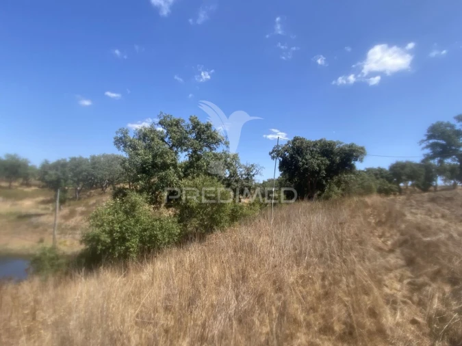 Quinta T3 para Venda em Abela Foto 10