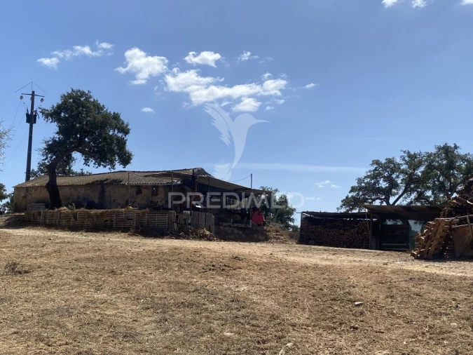 Quinta T3 para Venda em Abela Foto 36