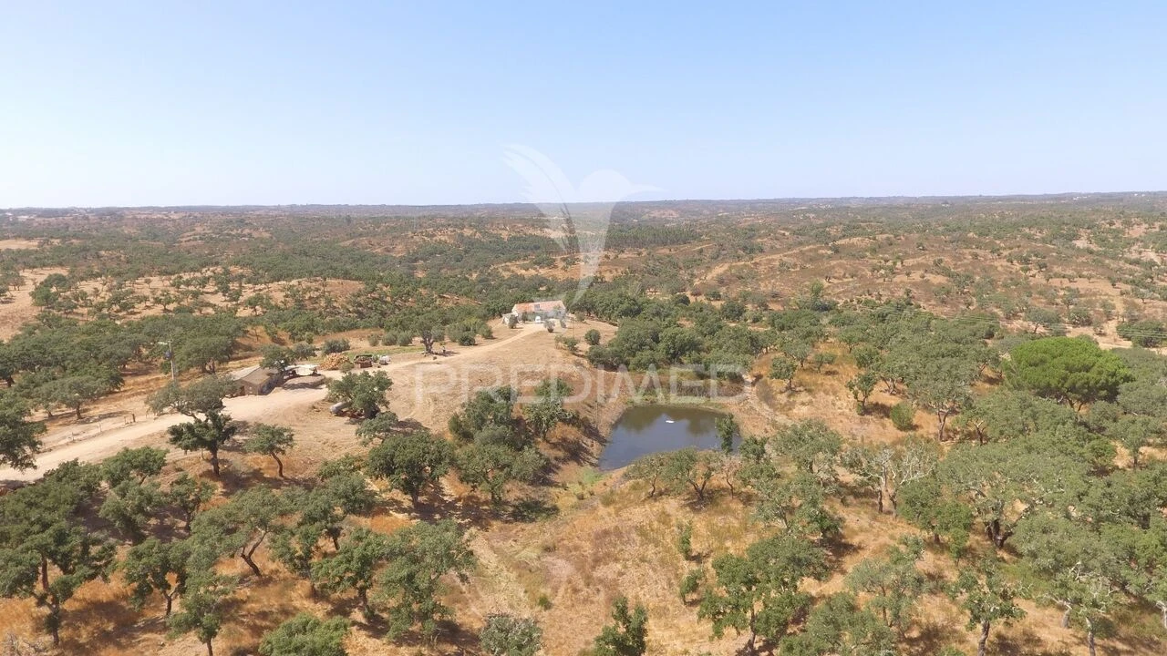 Quinta T3 para Venda em Abela Foto 3