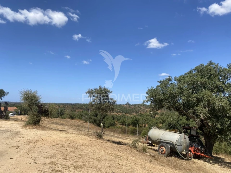 Quinta T3 para Venda em Abela Foto 26