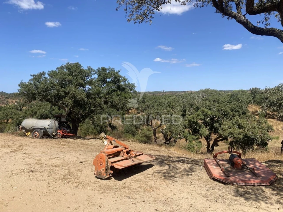 Quinta T3 para Venda em Abela Foto 30
