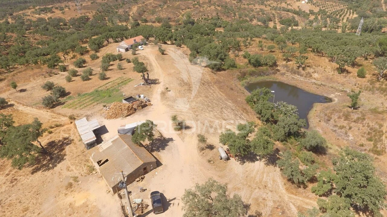 Quinta T3 para Venda em Abela Foto 40