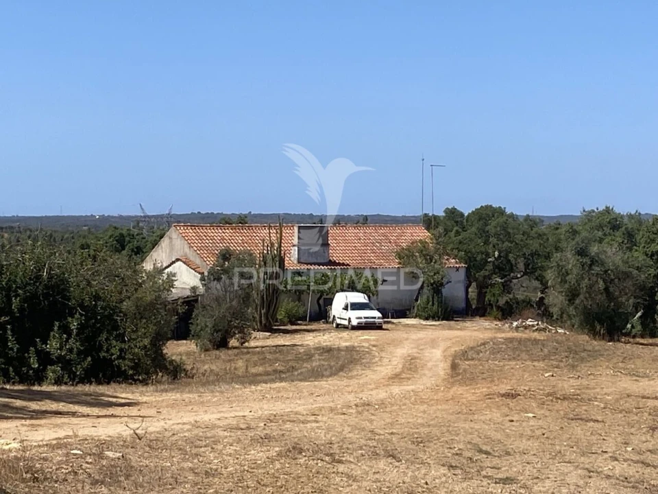 Quinta T3 para Venda em Abela Foto 5