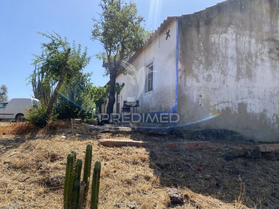 Quinta T3 para Venda em Abela Foto 13