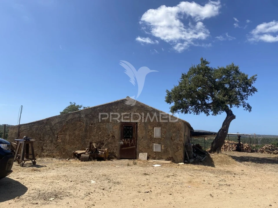 Quinta T3 para Venda em Abela Foto 27