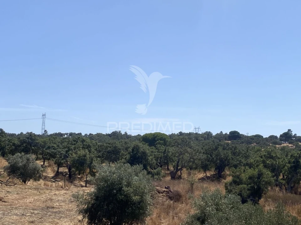 Quinta T3 para Venda em Abela Foto 15