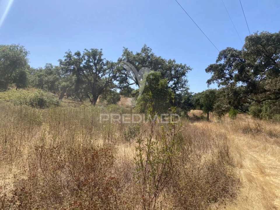 Quinta T3 para Venda em Abela Foto 20