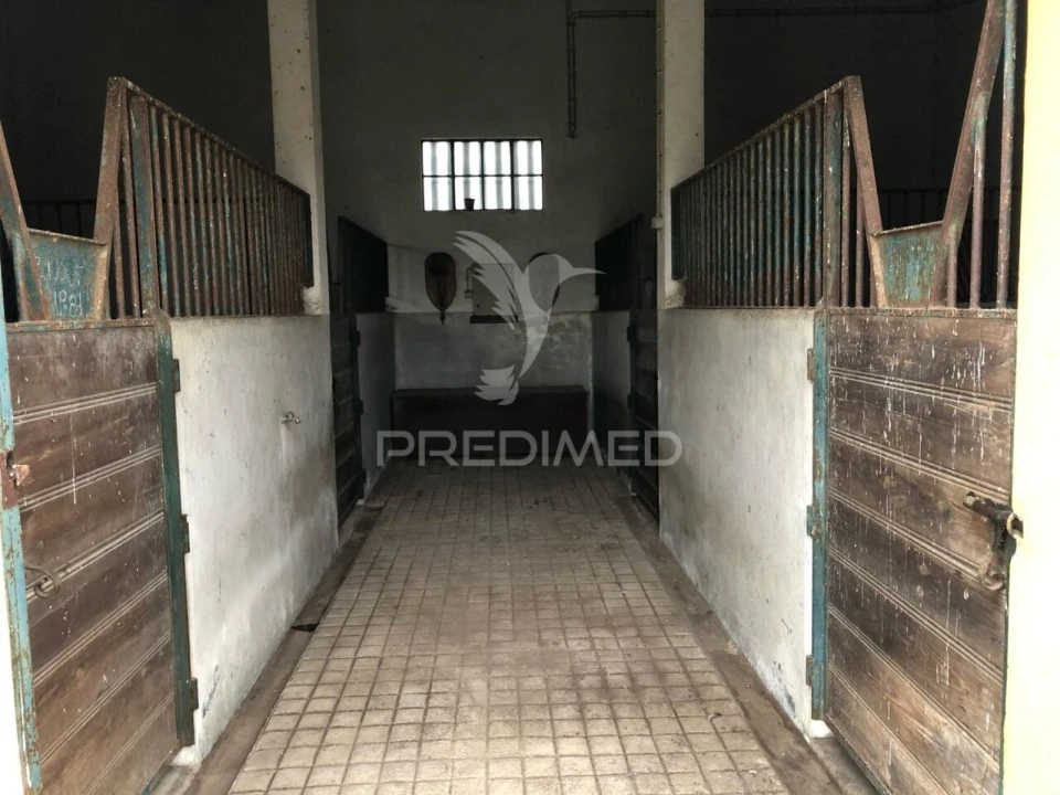 Quinta T4 para Venda em Vale de Santarem Foto 19