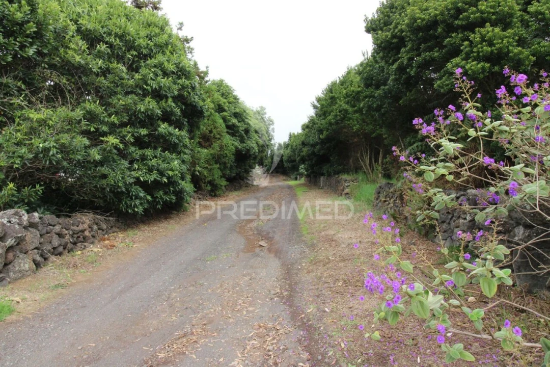 Quinta T6 para Venda em Santa Barbara Foto 35