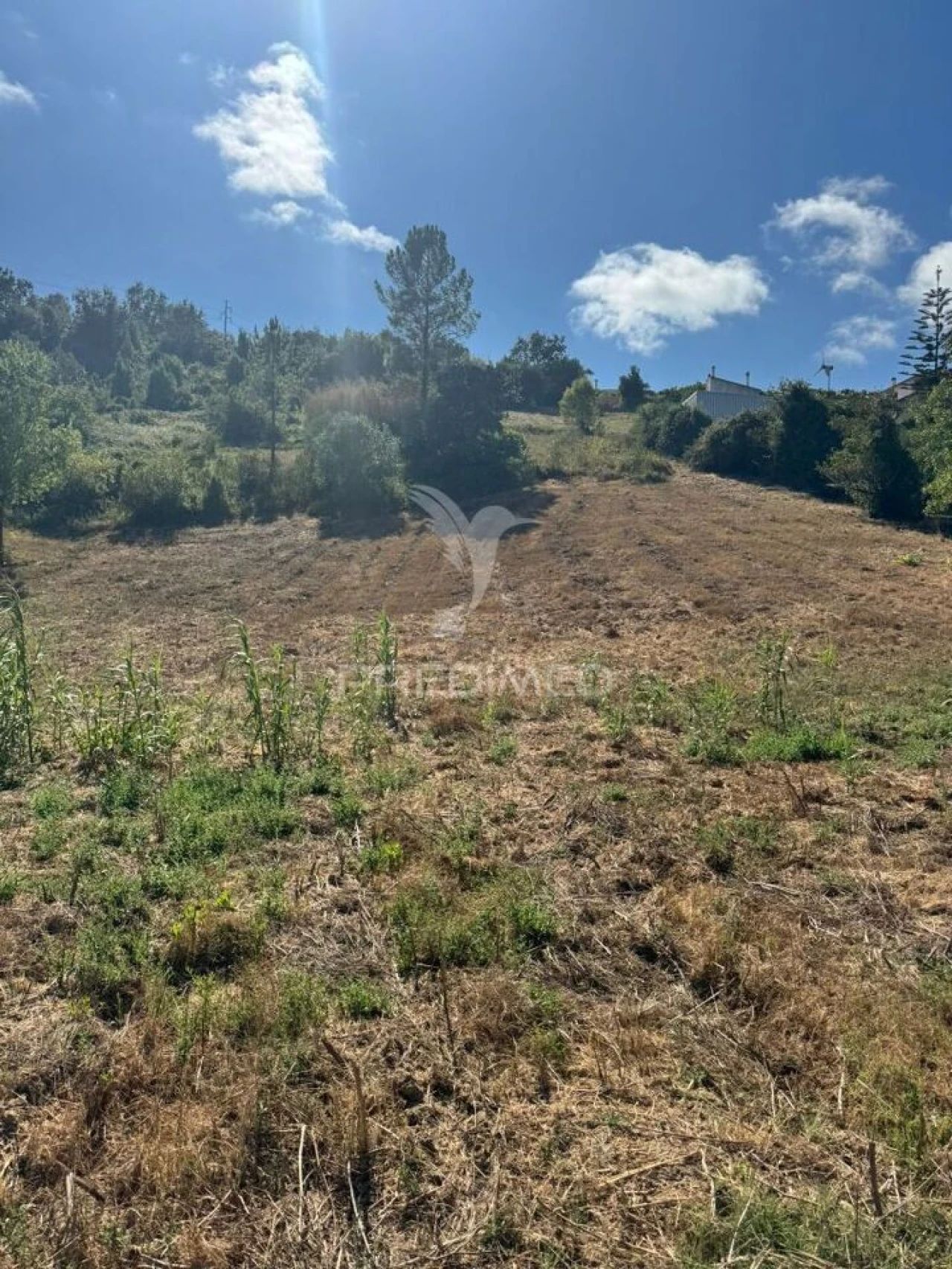Terreno para Venda em Leiria, Pousos, Barreira e Cortes Foto 16