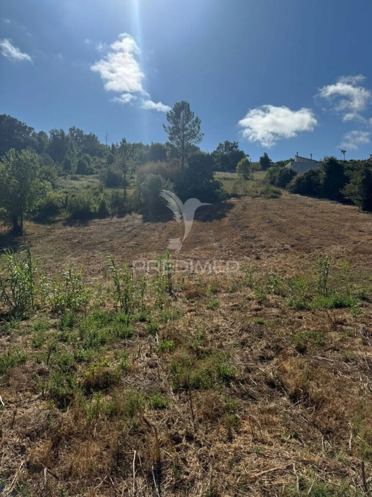 Terreno para Venda em Leiria, Pousos, Barreira e Cortes Foto 17
