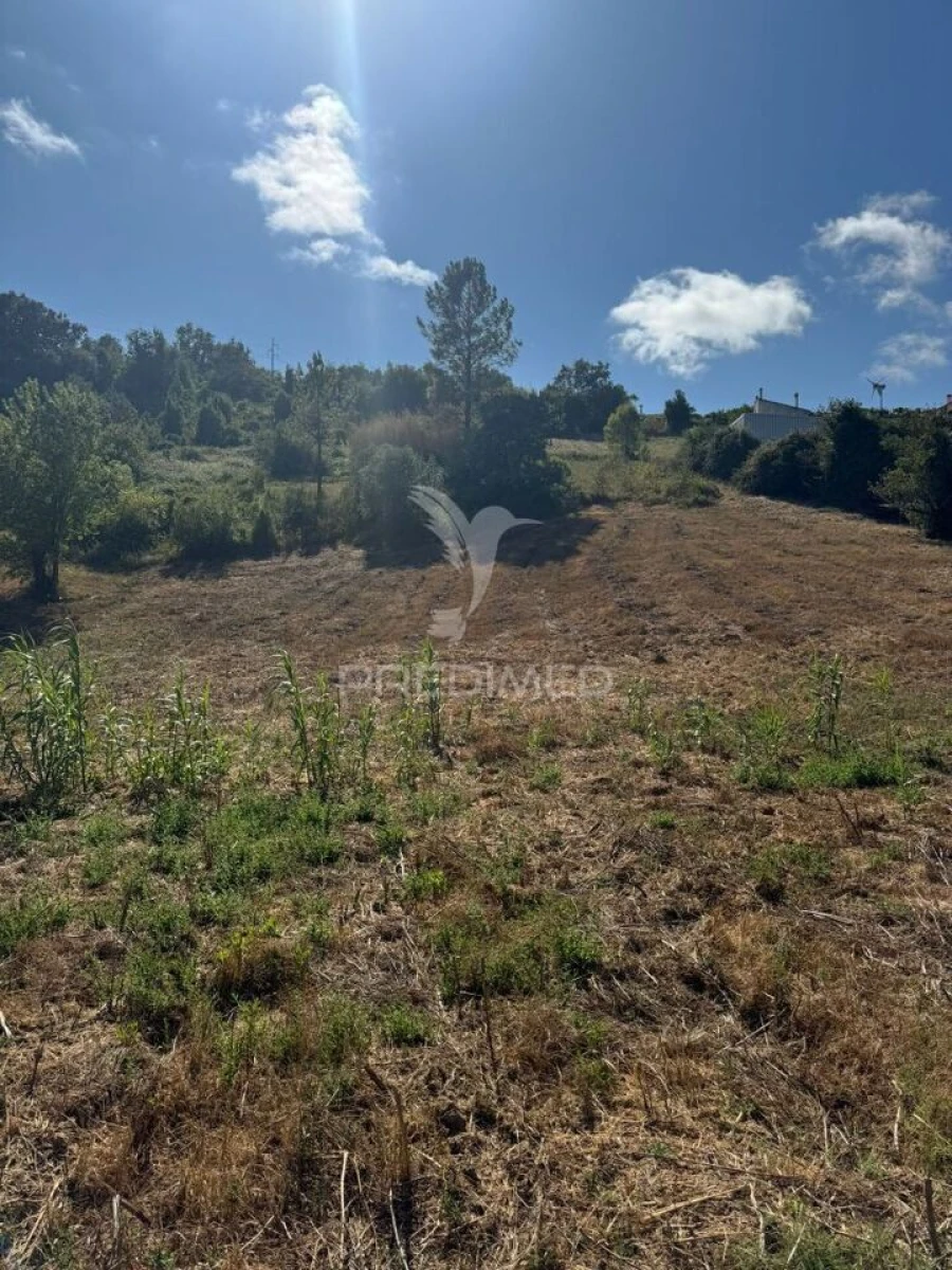 Terreno para Venda em Leiria, Pousos, Barreira e Cortes Foto 17