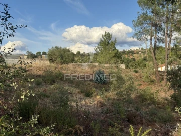 Terreno para Venda em Arneiro das Milhariças