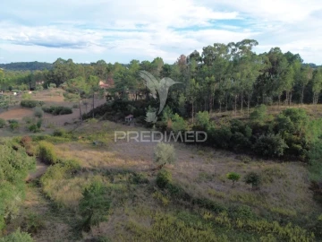 Terreno para Venda em Arneiro das Milhariças