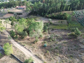 Terreno para Venda em Arneiro das Milhariças