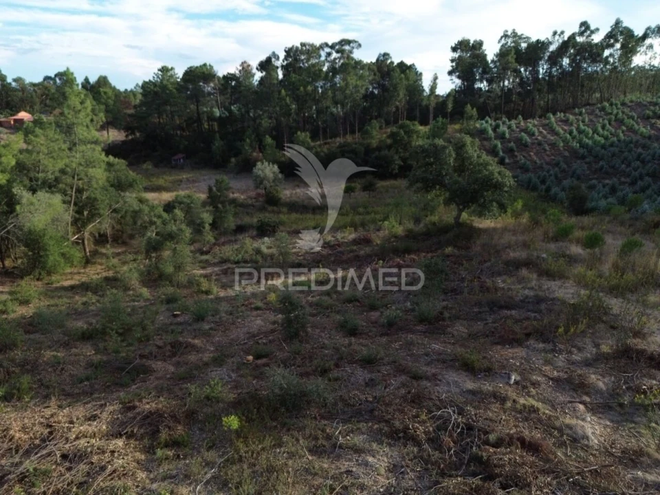 Terreno para Venda em Arneiro das Milhariças Foto 15