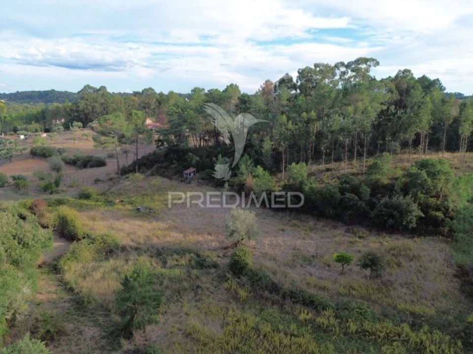 Terreno para Venda em Arneiro das Milhariças Foto 12