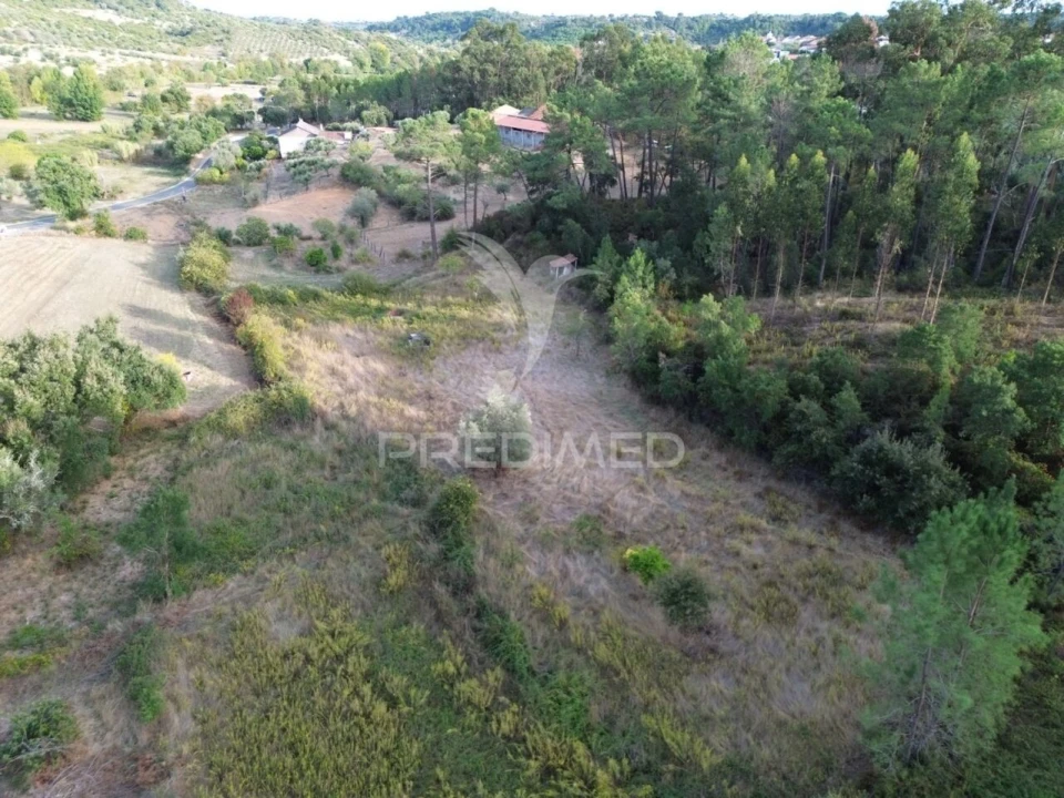 Terreno para Venda em Arneiro das Milhariças Foto 4