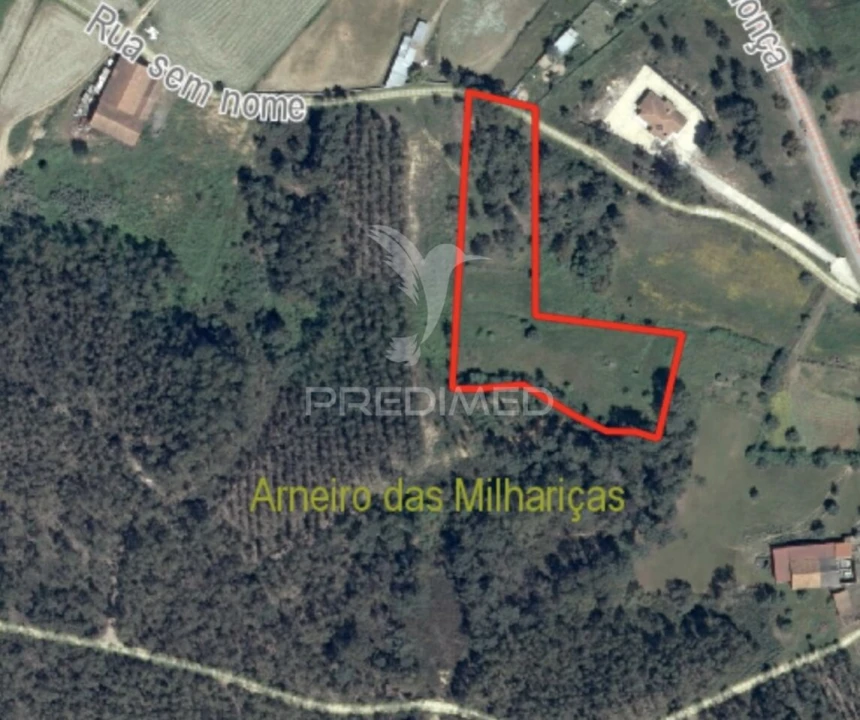 Terreno para Venda em Arneiro das Milhariças Foto 1