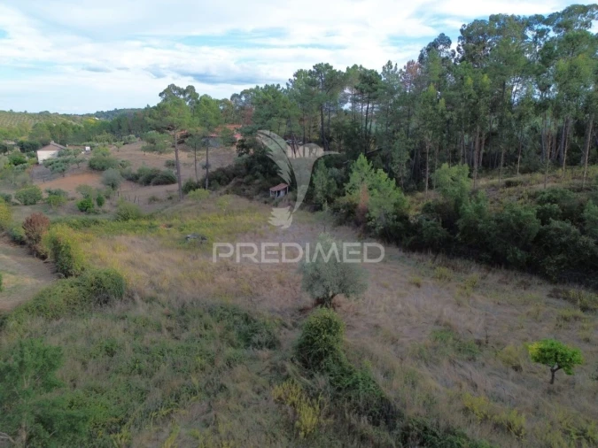 Terreno para Venda em Arneiro das Milhariças Foto 5