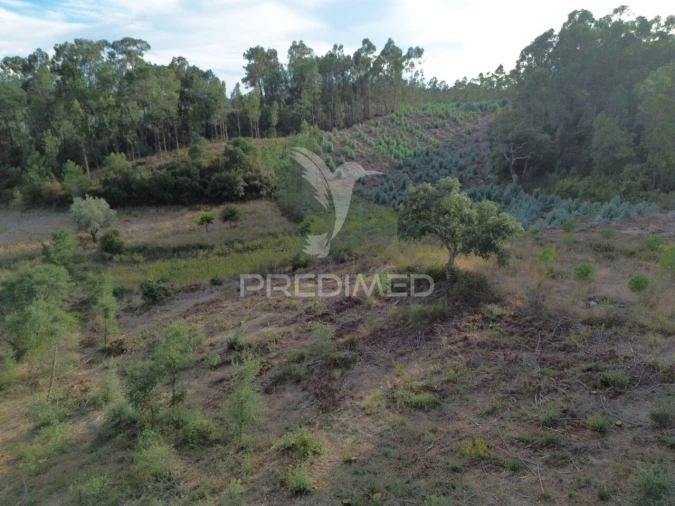 Terreno para Venda em Arneiro das Milhariças Foto 23