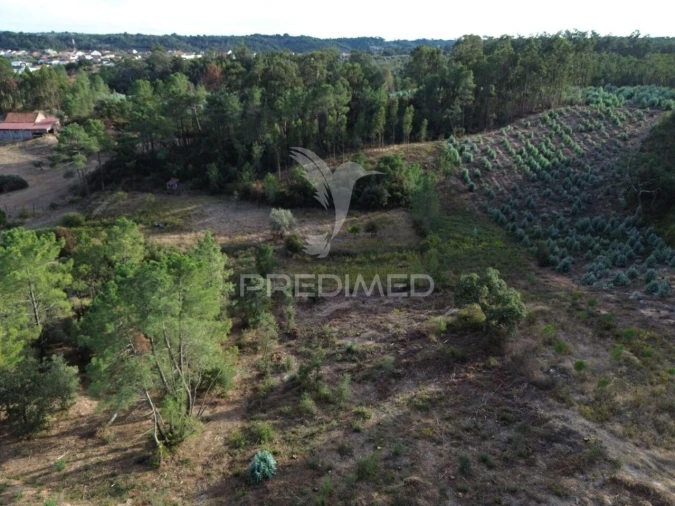 Terreno para Venda em Arneiro das Milhariças Foto 8