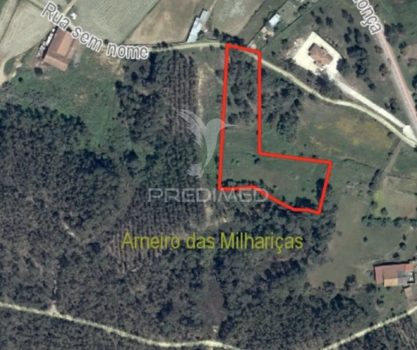 Terreno para Venda em Arneiro das Milhariças