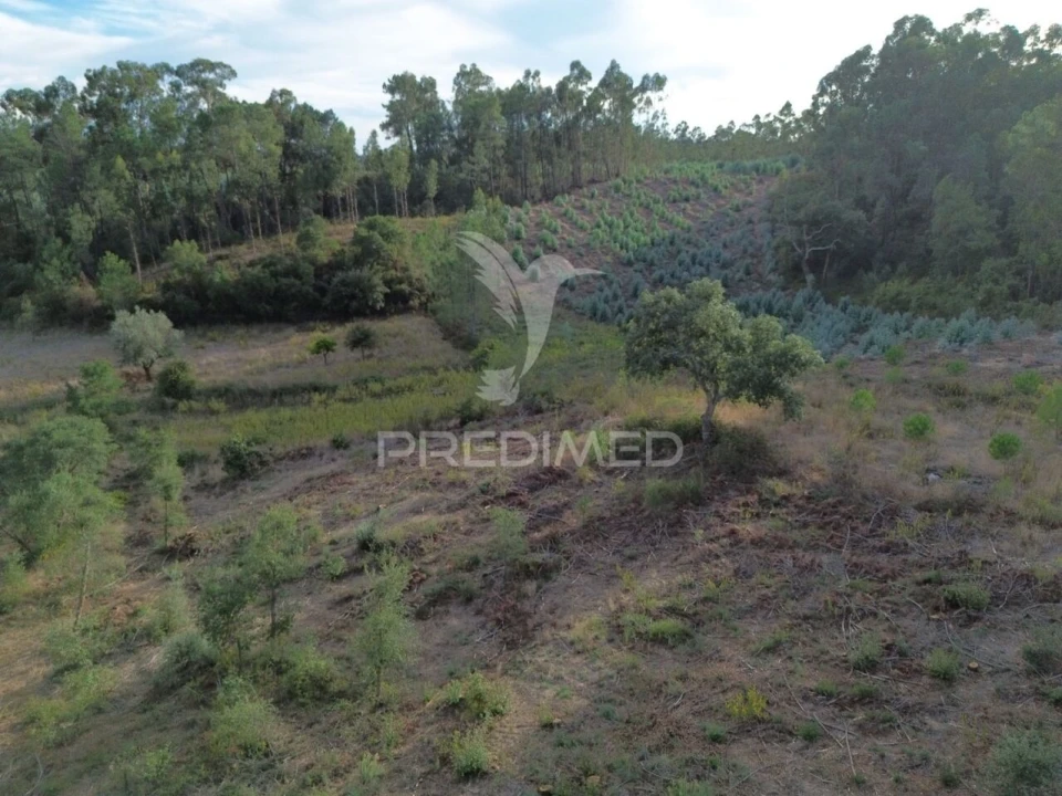 Terreno para Venda em Arneiro das Milhariças Foto 23
