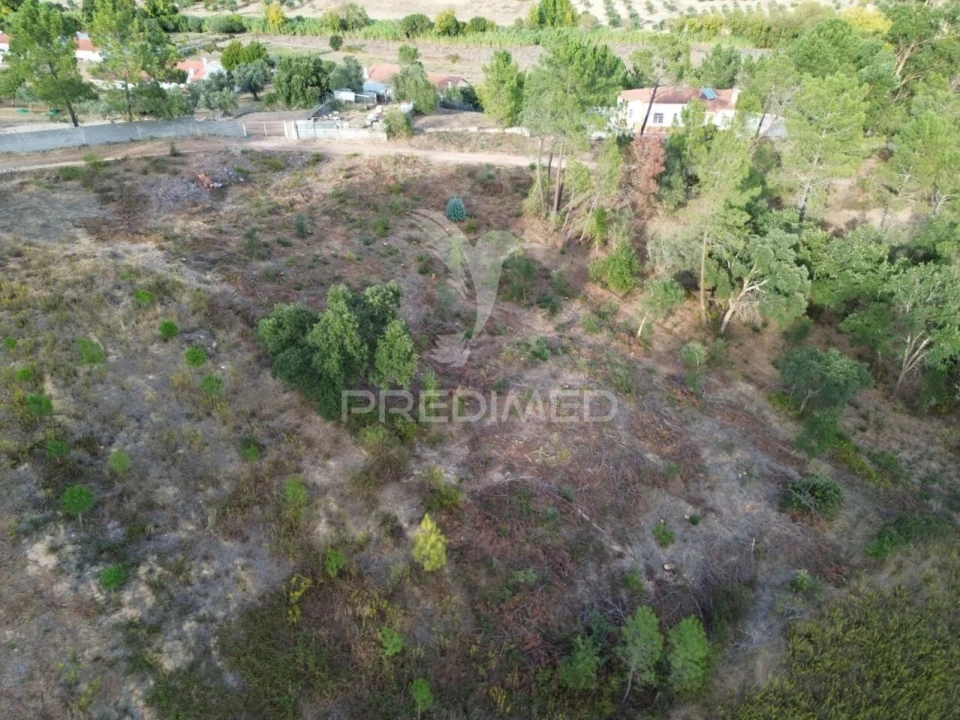 Terreno para Venda em Arneiro das Milhariças Foto 7