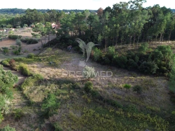 Terreno para Venda em Arneiro das Milhariças