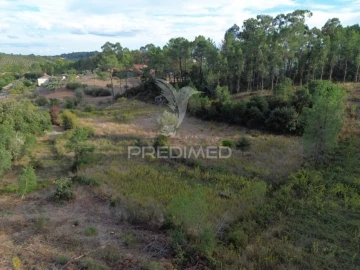 Terreno para Venda em Arneiro das Milhariças