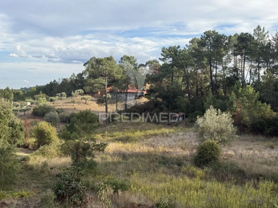 Terreno para Venda em Arneiro das Milhariças Foto 24