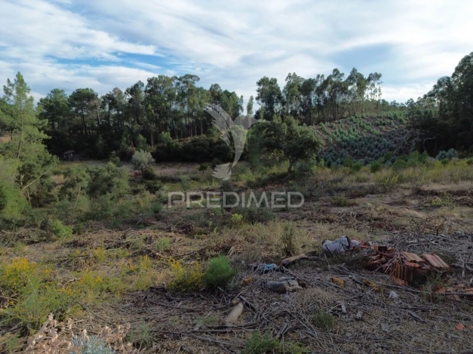 Terreno para Venda em Arneiro das Milhariças Foto 22