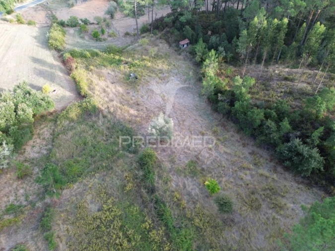 Terreno para Venda em Arneiro das Milhariças Foto 4