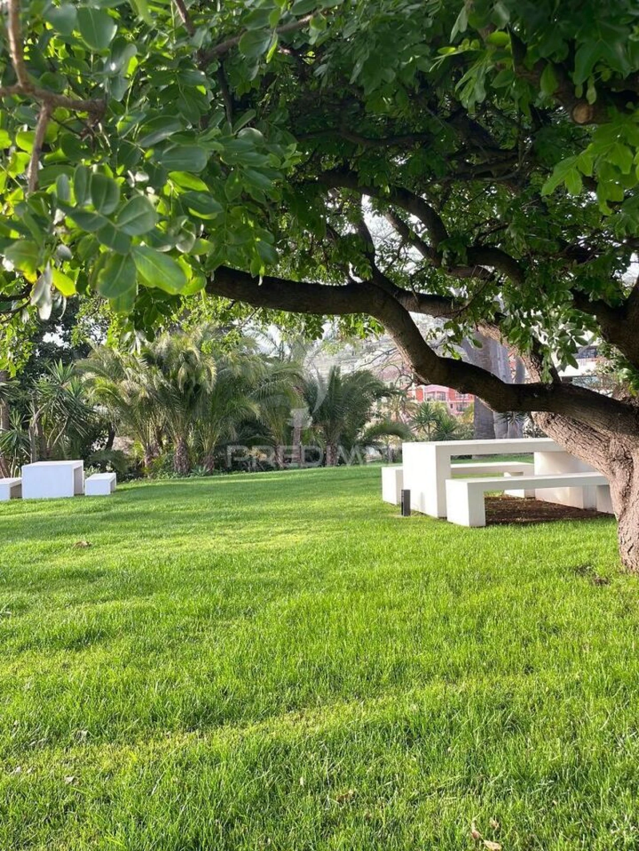 Apartamento T3 para Venda em São Martinho Foto 28