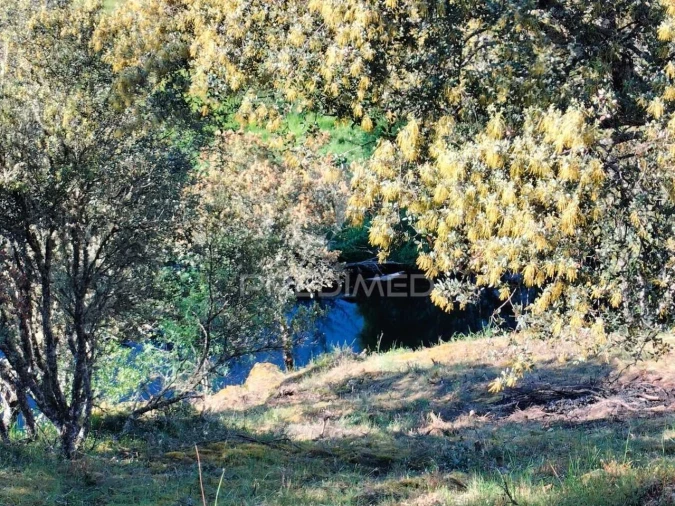 Terreno para Venda em Sé, Santa Maria e Meixedo Foto 6