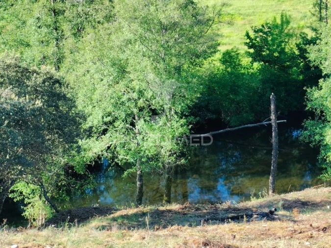 Terreno para Venda em Sé, Santa Maria e Meixedo Foto 2