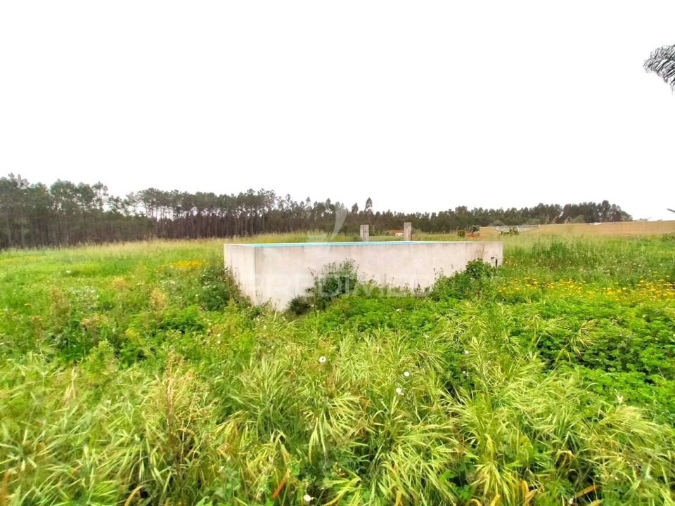 Moradia T6 para Venda em Bidoeira de Cima Foto 21