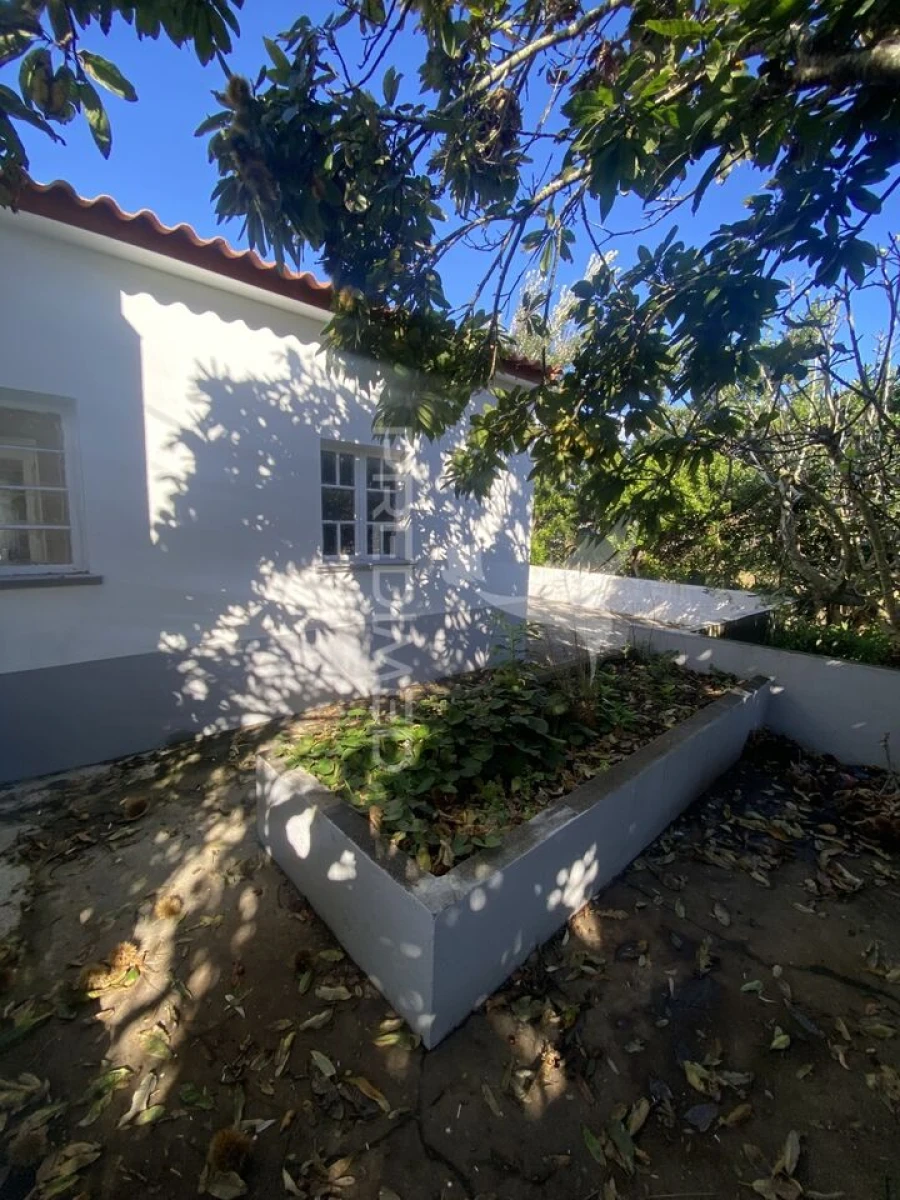 Moradia T3 para Venda em Topo (Nossa Senhora do Rosario) Foto 5