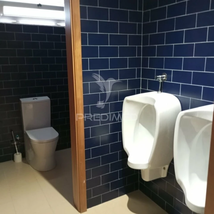 Quinta T4 para Venda em Talhadas Foto 33