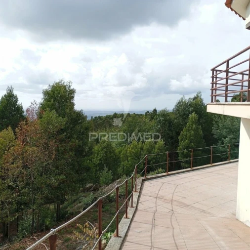 Quinta T4 para Venda em Talhadas Foto 4